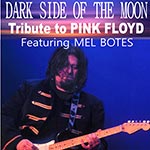 Dark Side of the Moon