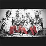The Parlotones